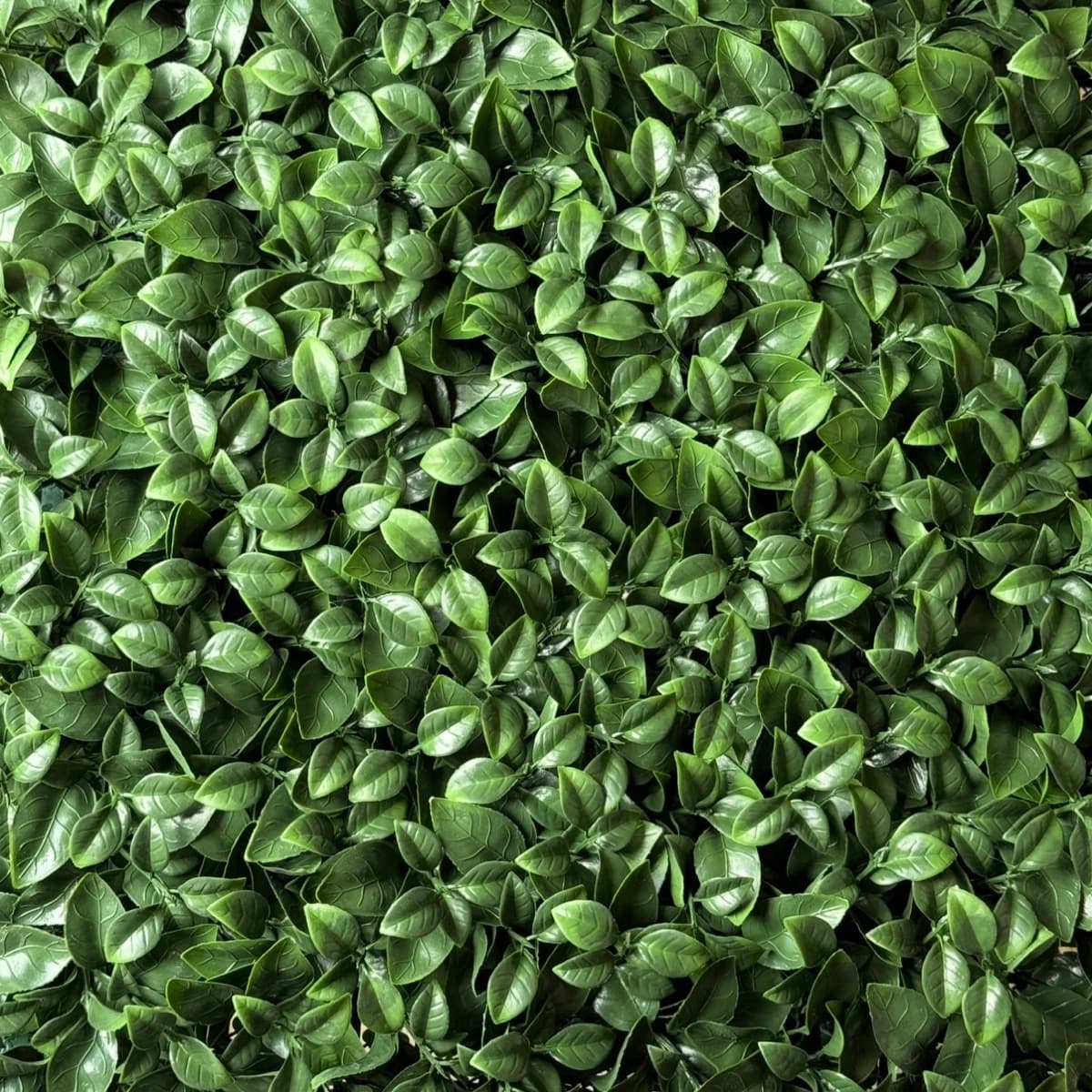 Groene garden wall backdrop met bladeren